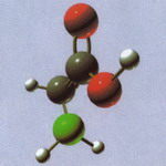 氨基酸分子模型