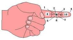 用左手快速推算元素位置和原子序数的方法