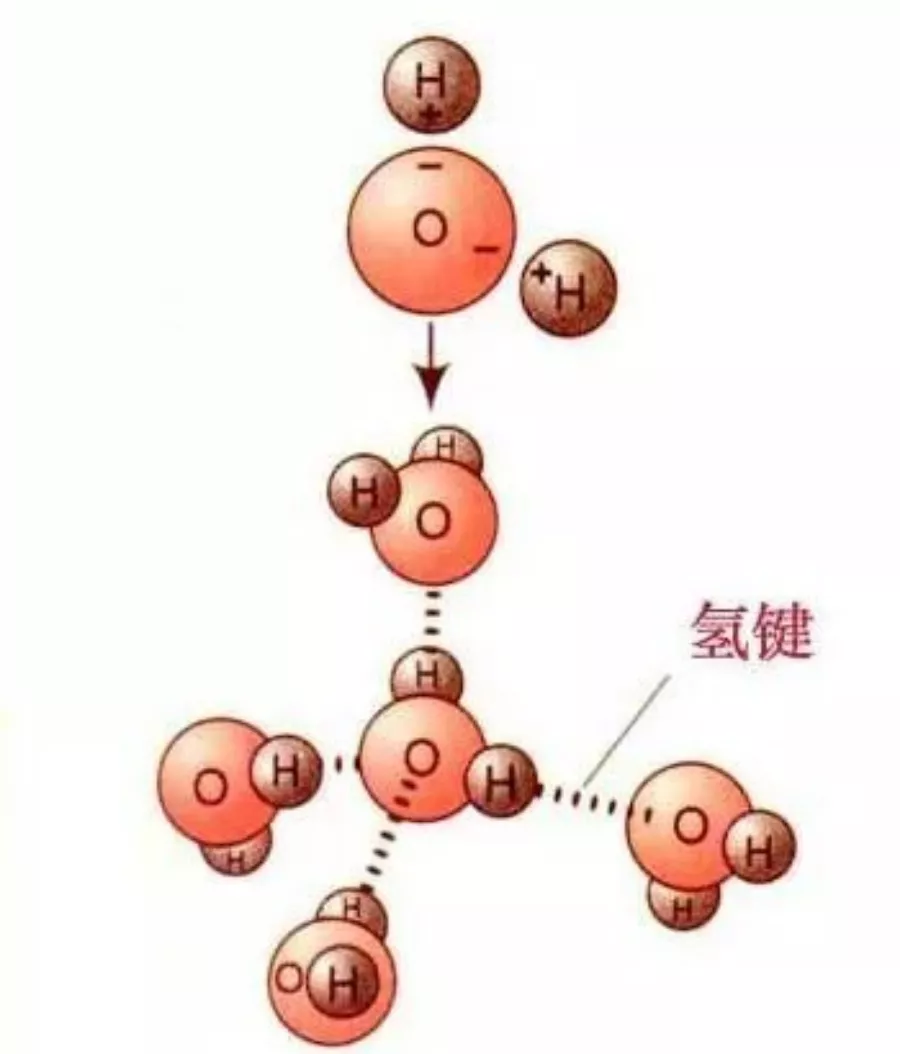 怎样全面深入理解“氢键”？