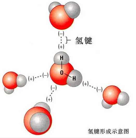 含氢键的物质怎么比较熔点呢？