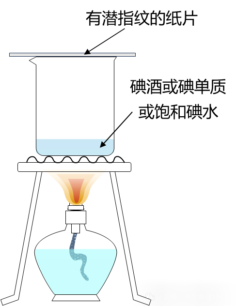 如何通过一枚指纹锁定真凶? 如何通过一枚指纹锁定真凶?