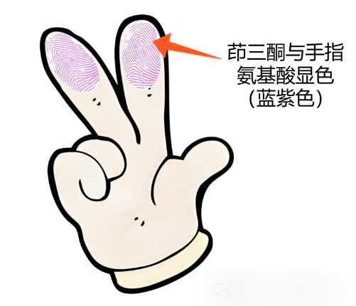 如何通过一枚指纹锁定真凶? 如何通过一枚指纹锁定真凶?