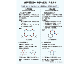 图示说明分子间和分子内氢键