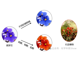 酸碱理论发展史