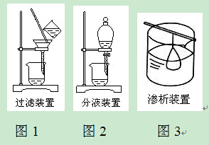 ޻Һĳӷ