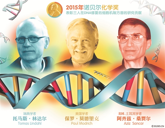 2015年诺贝尔化学奖―DNA修复与疾病防治