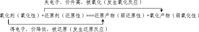 ԭӦ24