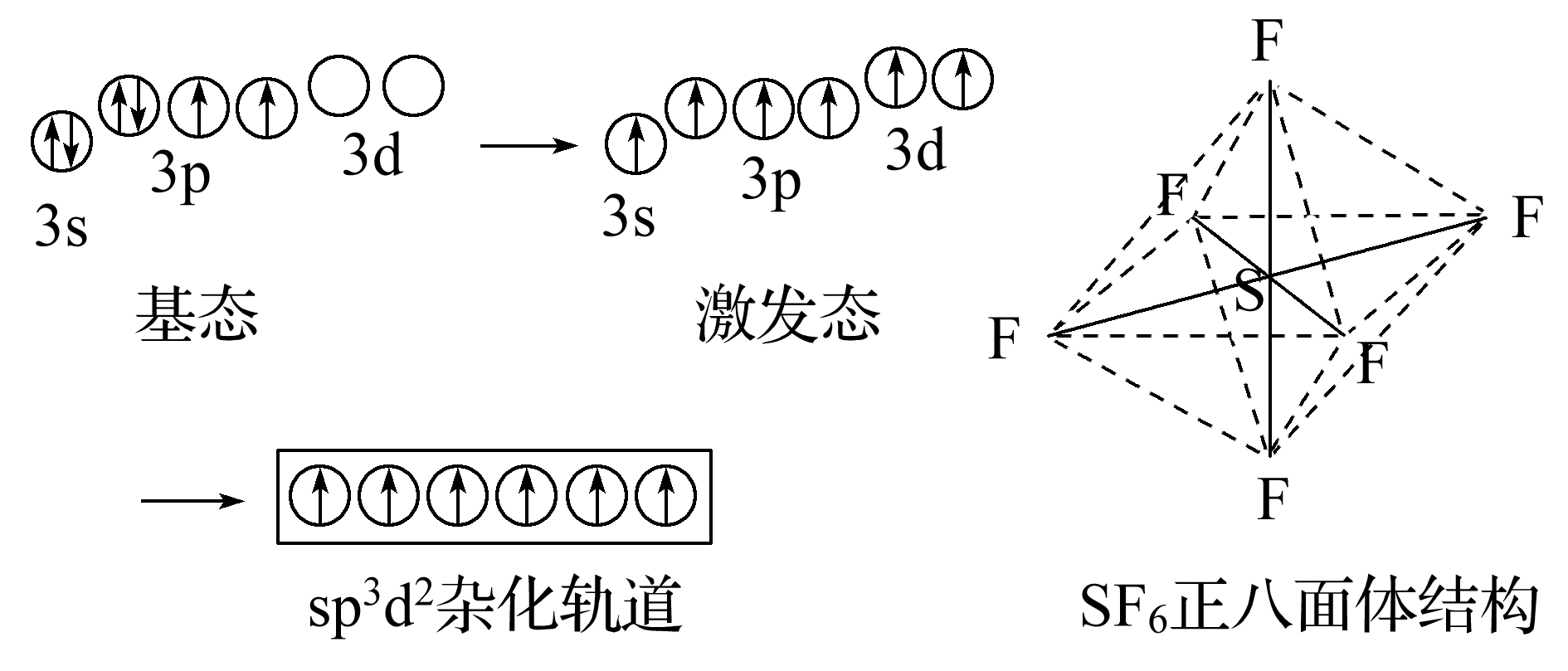 s-p-dͻd-s-pӻϰ