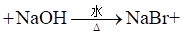2024㶫ͨѧҵˮƽѡԿԻѧԾ