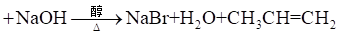 2024㶫ͨѧҵˮƽѡԿԻѧԾ