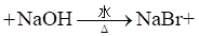 2024㶫ͨѧҵˮƽѡԿԻѧԾ