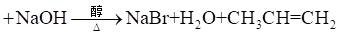 2024㶫ͨѧҵˮƽѡԿԻѧԾ