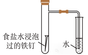 ʵ鿼ϵУĵ绯ѧʴ
