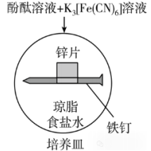 ʵ鿼ϵУĵ绯ѧʴ