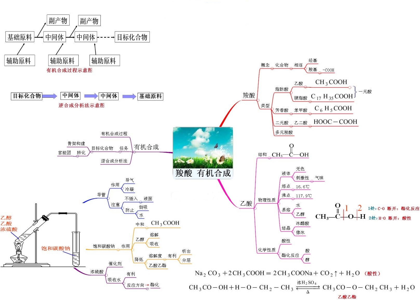 思维导图系列2：羧酸及有机合成