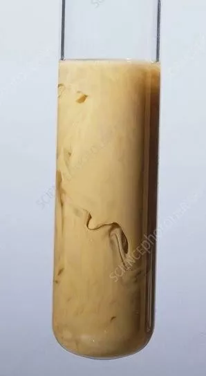 ܽԱAgOHһΪʲôǡ