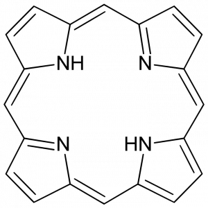 Ļѧʷ˽Ⲩ׳йѧʷ
