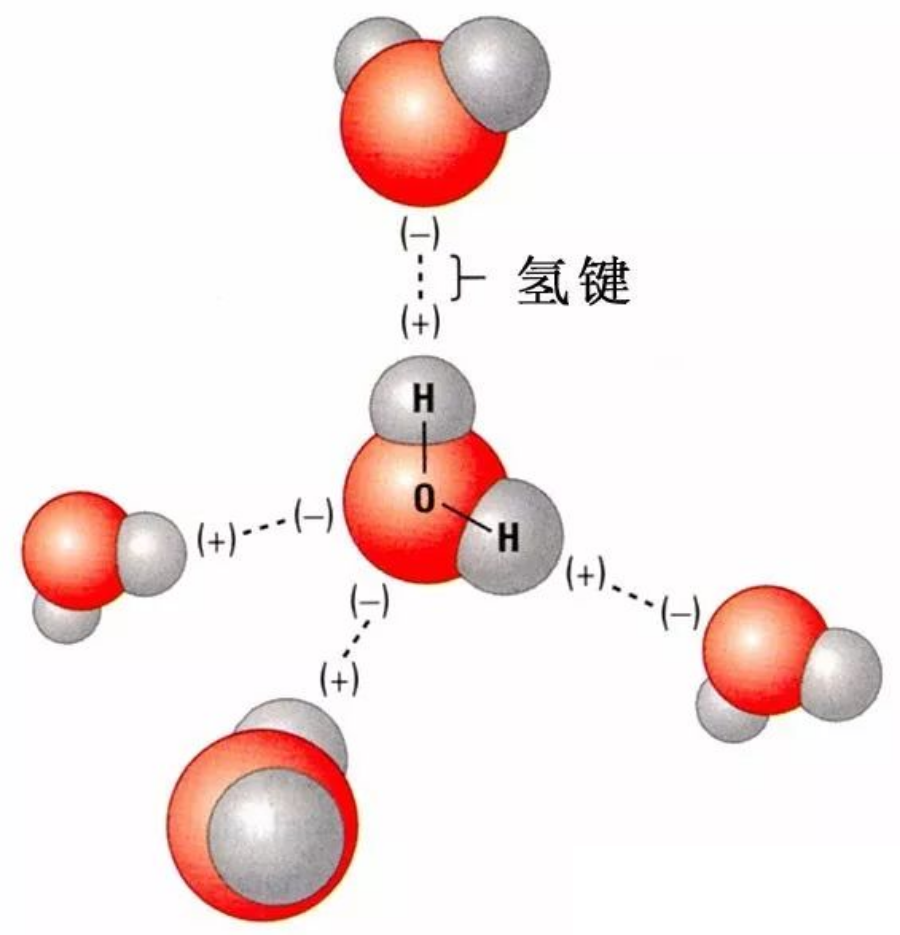 氢键的形成图片