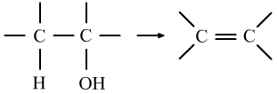 ʮлĻѧʣĻѧ