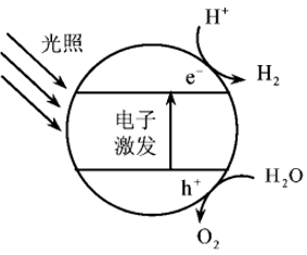 2020¸߿ѧ棩