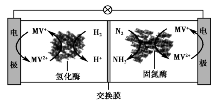 Ĳ㶨龳ԭص缫Ӧʽд