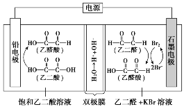 绯ѧеġӽĤ