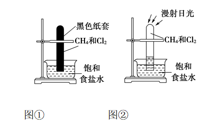 鼰֪ʶܽ