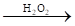 2024ͨѧҵˮƽѡԿԻѧ