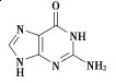 ῼ