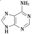 ῼ