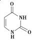 ῼ