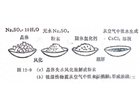 ͷ绯