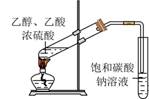 2024꺣ʡͨѧҵˮƽѡԿԻѧԾ