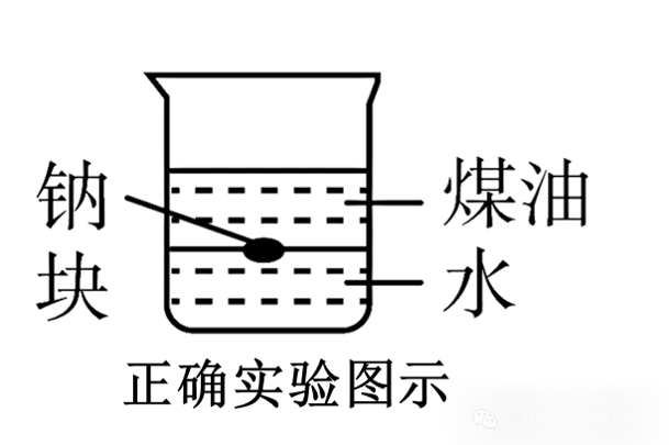 ʵ鿼ϵУƵ