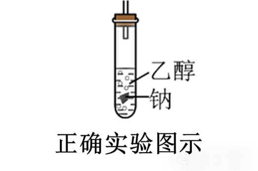 ʵ鿼ϵУƵ