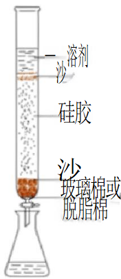 考前识记：避坑知识点总结