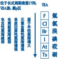 ϰ壺ȫʶȼ仯