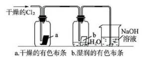 ϰ壺ȫʶȼ仯