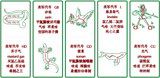 ϰ壺ȫʶȼ仯