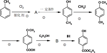 ߿ѧлϳ⡪Ŷλ