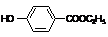 ߿ѧлϳ⡪Ŷλ