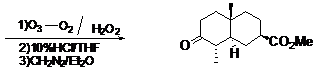 ߿ѧлϳ⡪Ŷλ