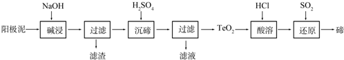 淶⣺߿ѧ8ר63淶ģ