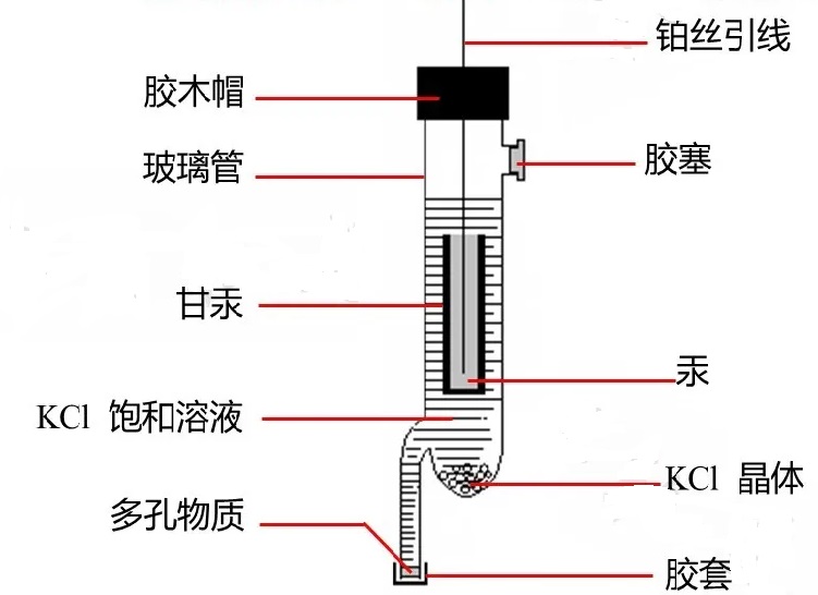 缫ͽ