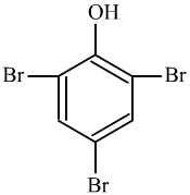 ʮлĻѧʣĻѧ