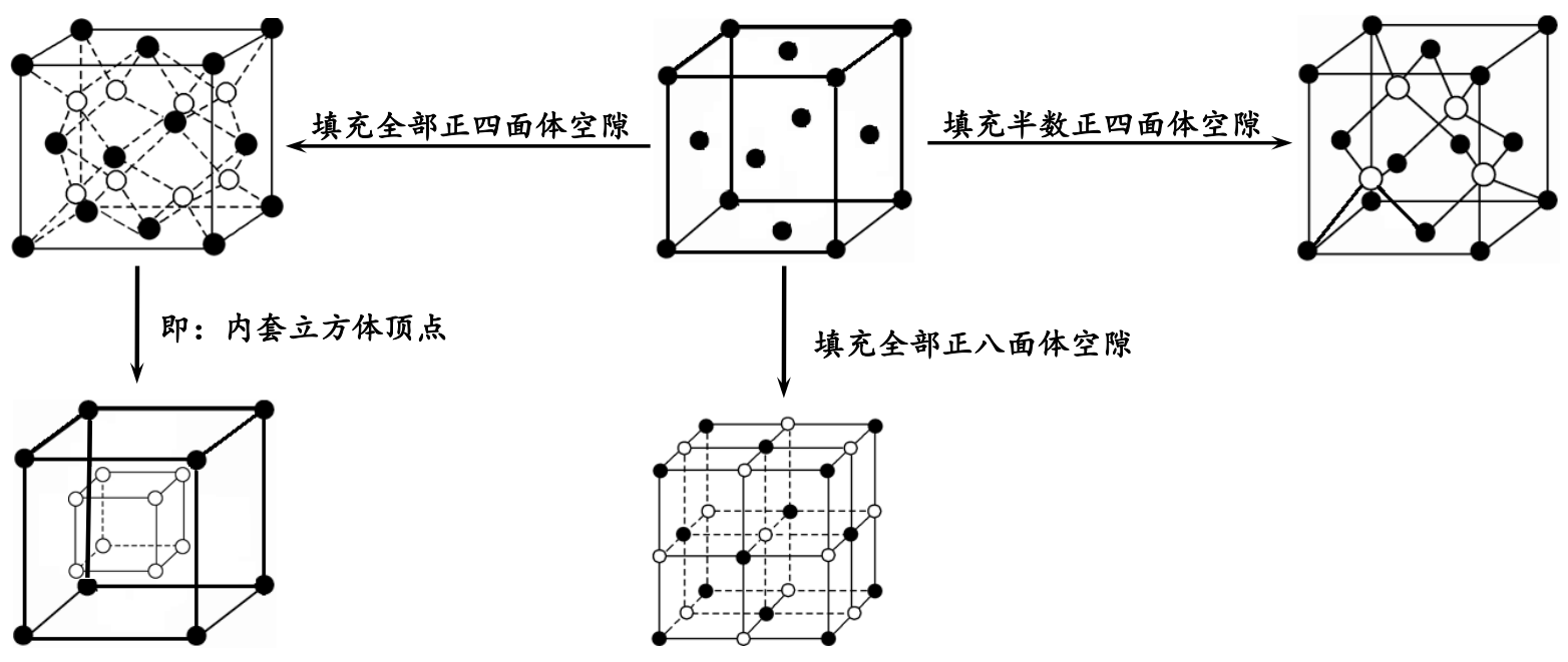 3,面心立方堆积晶胞中空隙填充情况:⑷zn2 的填隙率为50%