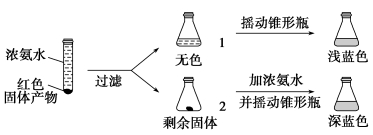 淶⣺ϴӼǷϴ
