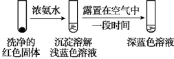 淶⣺ϴӼǷϴ