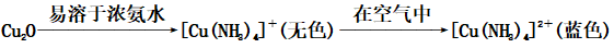 淶⣺ϴӼǷϴ