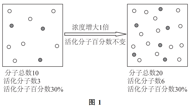 ڻѧӦʵ